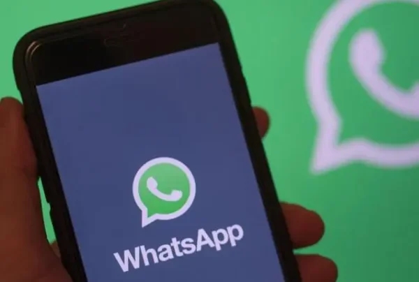 Download WhatsApp新版免费下载-Download WhatsApp最新版本安装包官方版